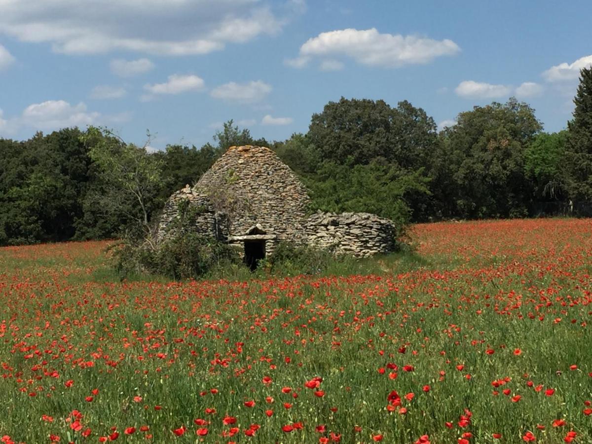 B&B et Gite d'ayran Saint-Quentin-la-Poterie Dış mekan fotoğraf